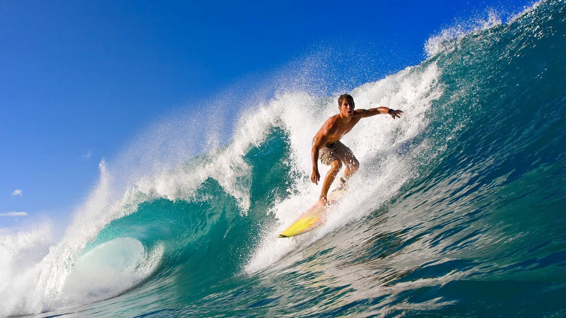 开云官网-“萨尔·巴赫的领袖魅力,南非羚羊队乘风破浪”