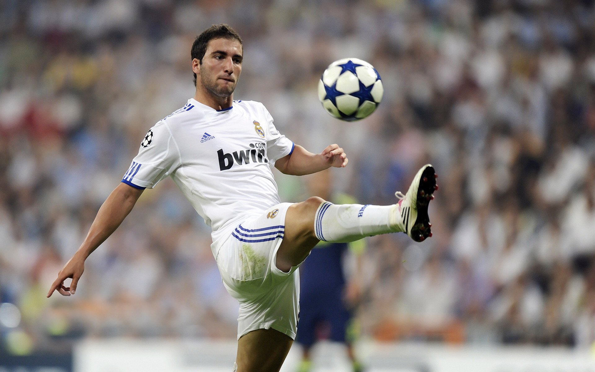 详细阅读:开云电竞中国-体育明星公益活动广泛开展,关于体育的公益项目 开云电竞中国-体育明星公益活动广泛开展,关于体育的公益项目